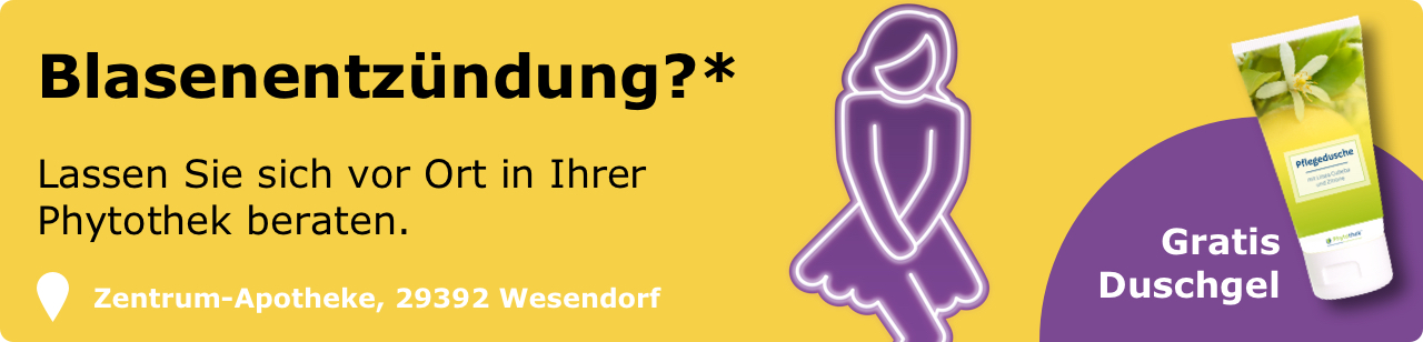 Chinesischer Geldbaum Pflegen So Gehts Richtig Youtube